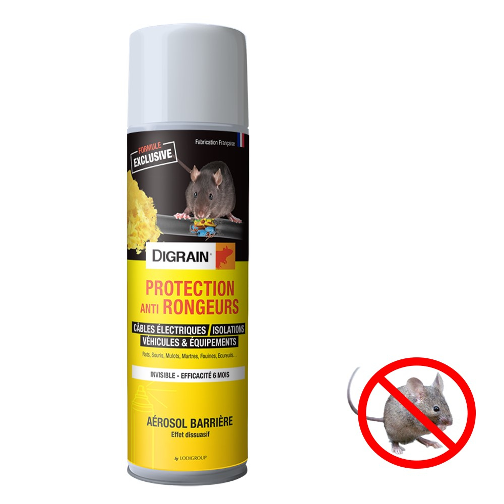 Spray répulsif anti-souris pour moteur automobile, piège à rats, protecteur  de moteur de voiture, accessoires