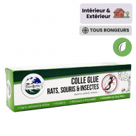 colle anti rat et souris