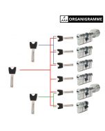 cylindre sur organigramme abus p6ps