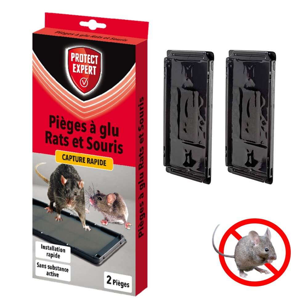 Generic Pack de 4 Tapis Collant Piége pour souris et rats - Prix