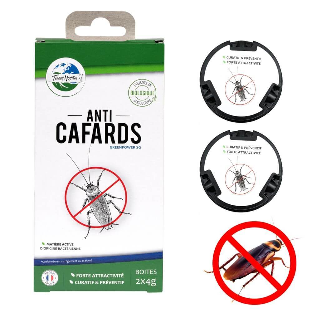 2pcs Réutilisable Ménage Cafard Piège Box Cafard Insecte Cafard Catcher  Cafard Killer Pièges Pesticides Pour Potager